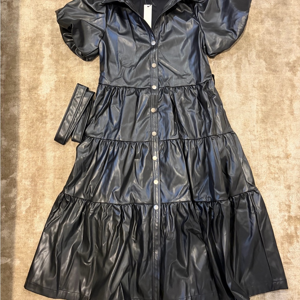 Pinch Black Faux Leather Dress